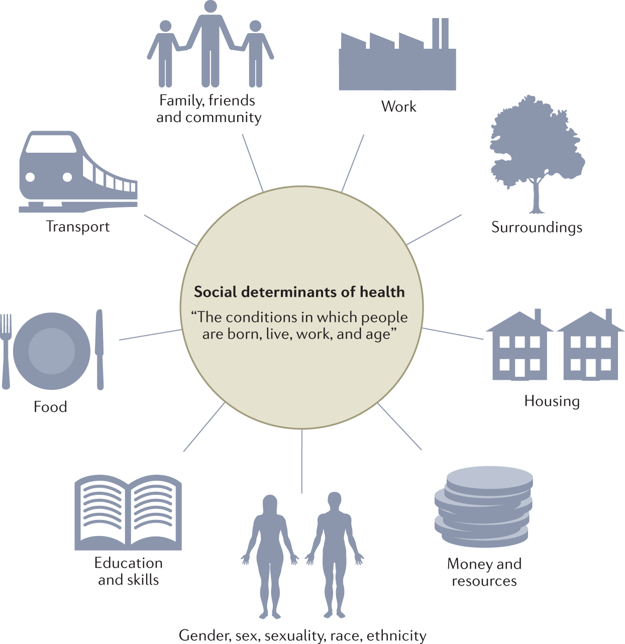 An infographic showing different types of Social determinants of health. In the center there is a gray circle with the words "The conditions in which people are born, live, work, and age." Around the circle are images paired with the different types of social determinants of health. There are 9 points, those are: 1. Family friends and community 2. Work 3. Surroundings 4. Housing 5. Money and Resources 6. Gender sex sexuality race ethnicity 7. Education and skills 8. Food and 9. Transportation