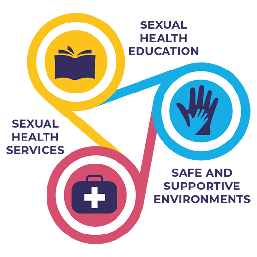An infographic that make a triangle with a circle at each corner. Within the circles at the corners are a book with the words "sexual health education", a hand with the words "safe and supportive environments" and a first aid kit with the words "sexual health services" 