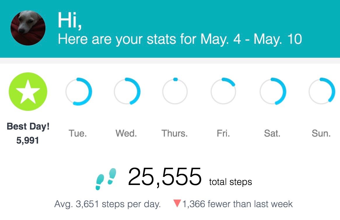 Fitbit app