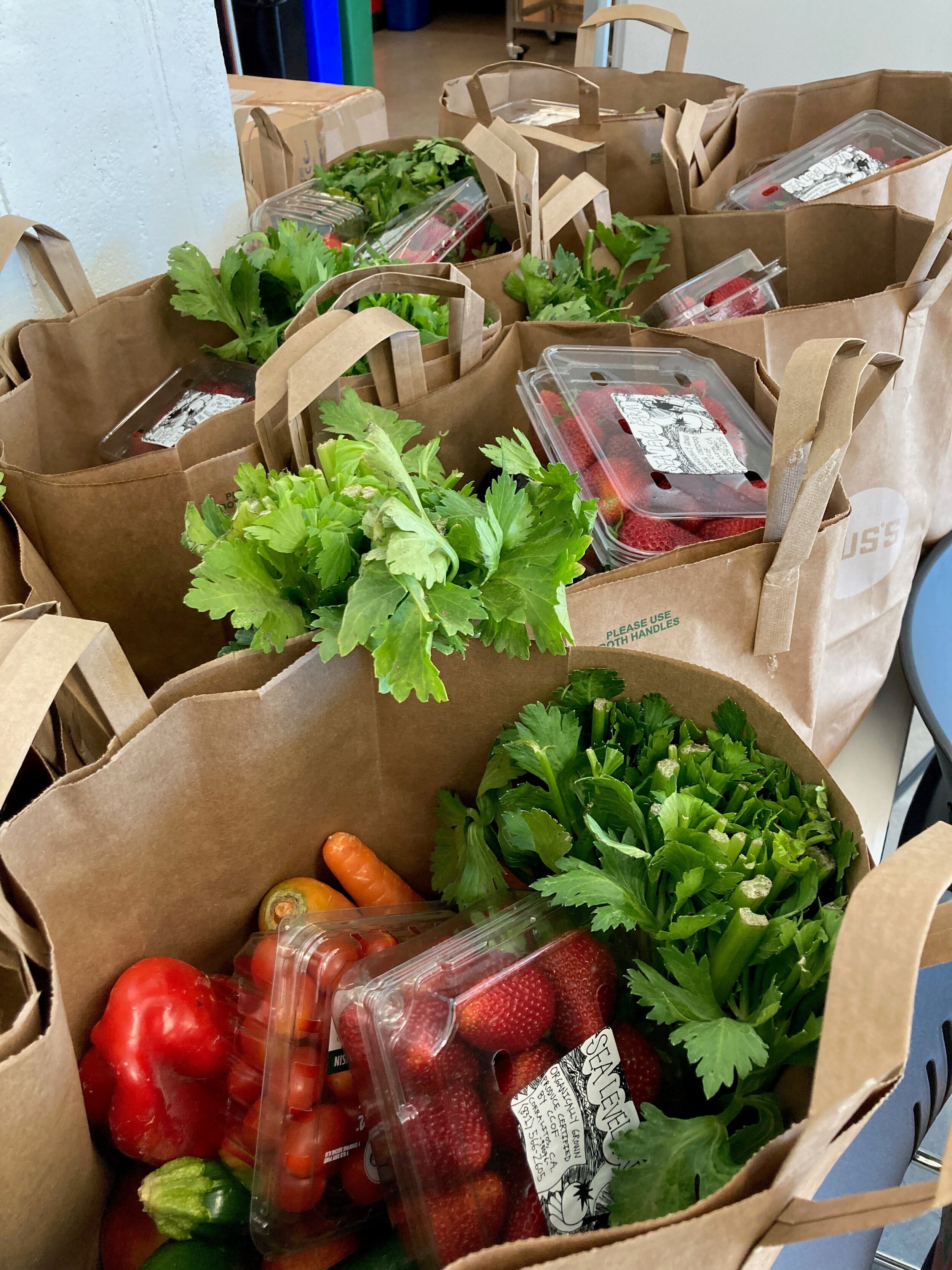 Fresh Groceries distributed at HR360