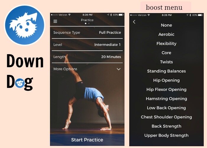 A description of the Down Dog yoga app. 