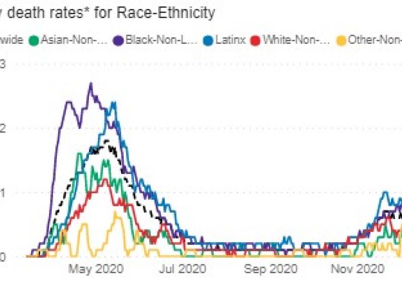Figure 1. Daily death rates* for Race-Ethnicity. Adapted from “COVID Dashboard 
