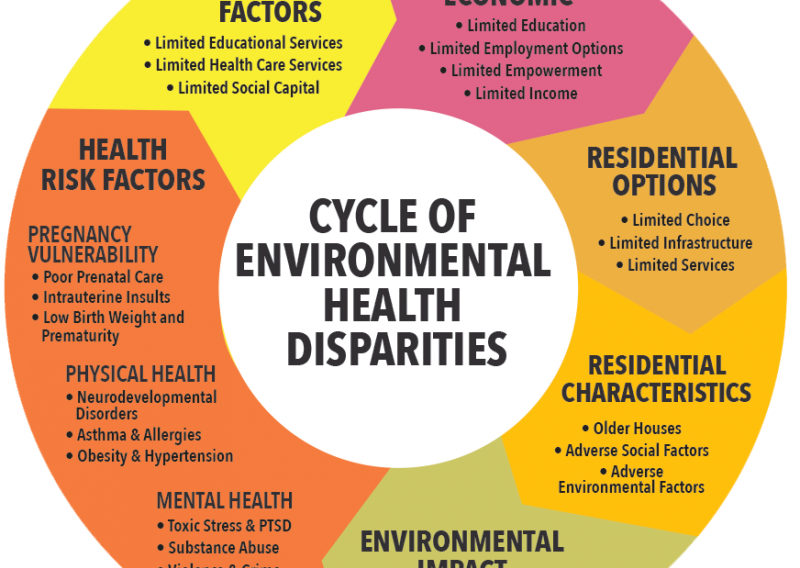 This graphics shows the cycle of health disparities that compound one another, often called the “social determinants of health”. From Science for Georgia. 