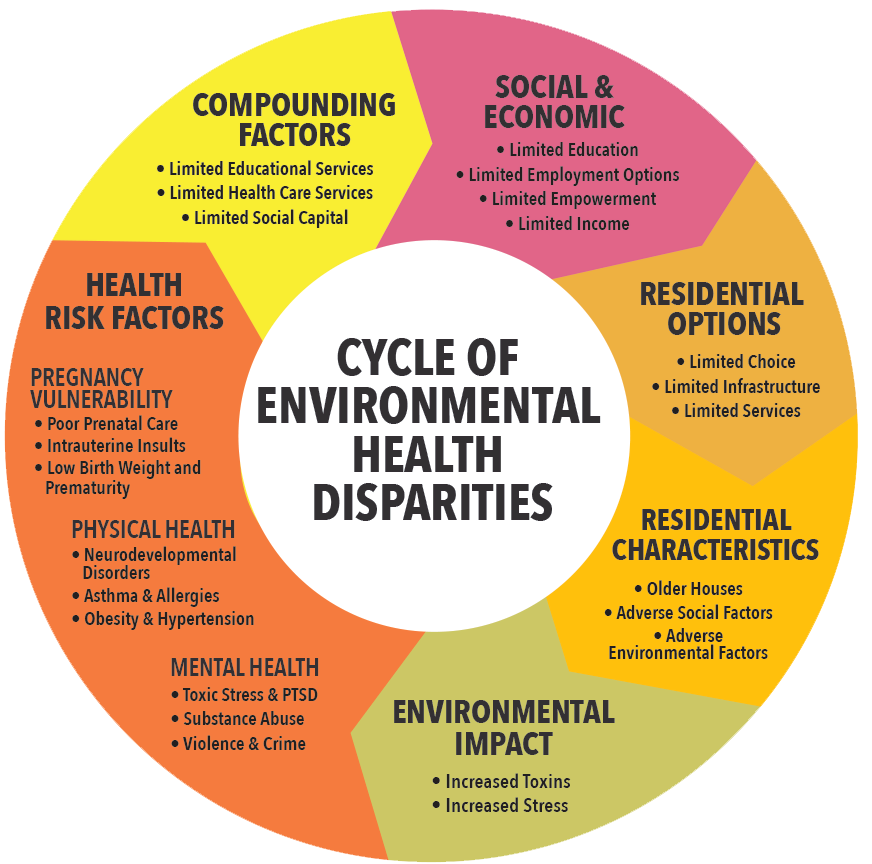 Lgbtq+ Populations